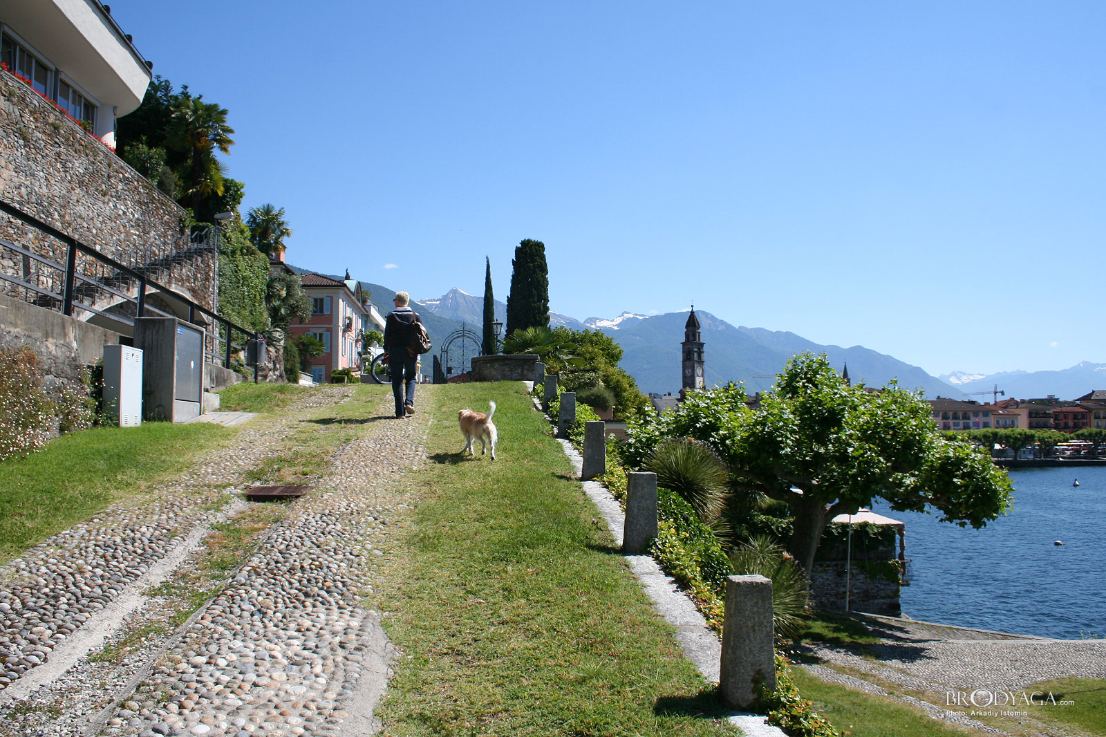 Ascona